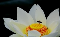 羅克韋爾自動(dòng)化與思科再推新架構(gòu)，致力降低工業(yè)自動(dòng)化環(huán)境的安全風(fēng)險(xiǎn)